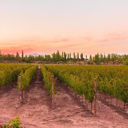 Marale Wines Hotel Boutique Villa Media Agua Kültér fotó