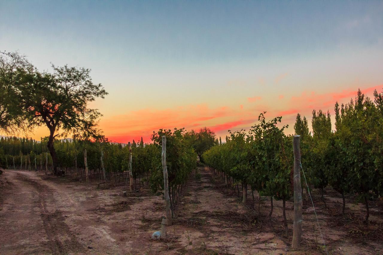 Marale Wines Hotel Boutique Villa Media Agua Kültér fotó